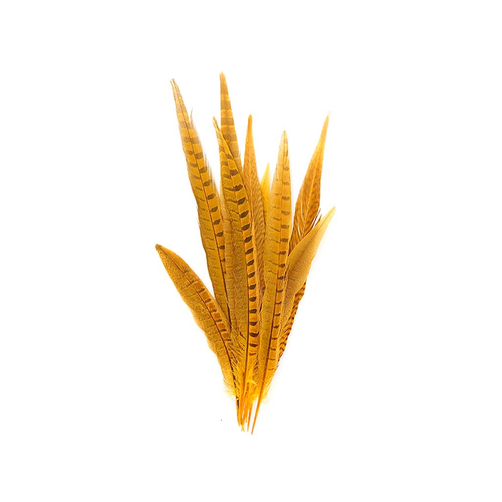 Pheasant Tails Assorted Bleached - Gold