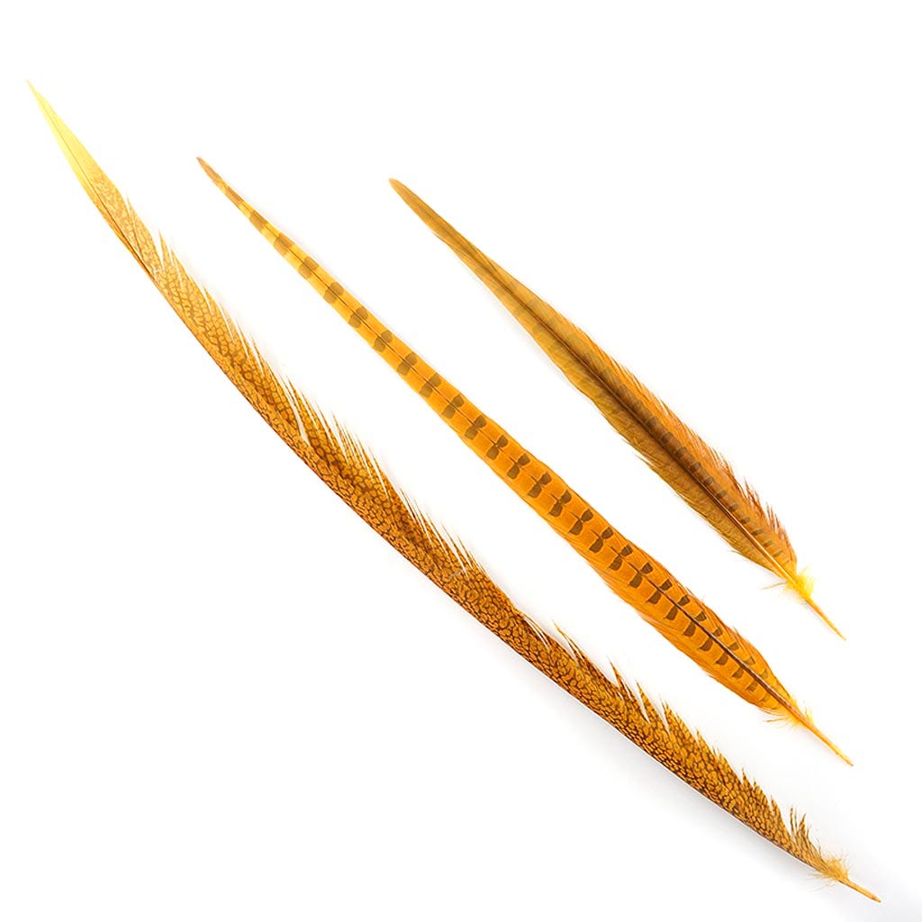 Pheasant Tails Assorted Bleached - Gold