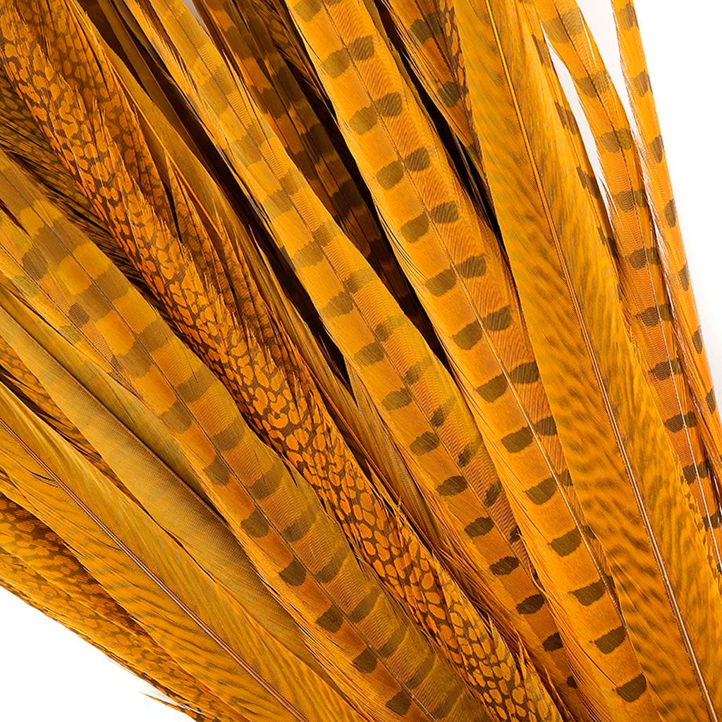 Pheasant Tails Assorted Bleached - Gold