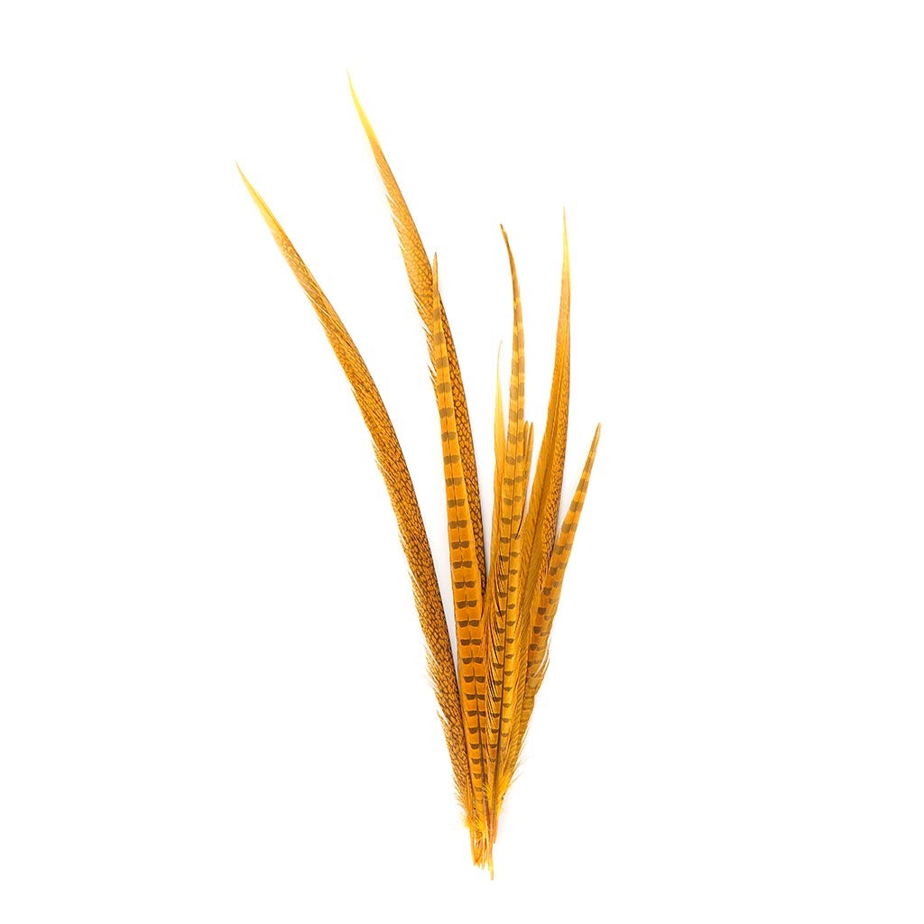 Pheasant Tails Assorted Bleached - Gold