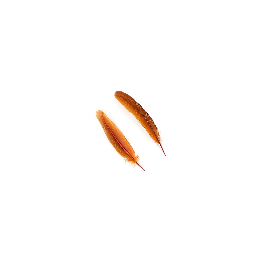 Pheasant Tail Feathers Dyed - Marigold