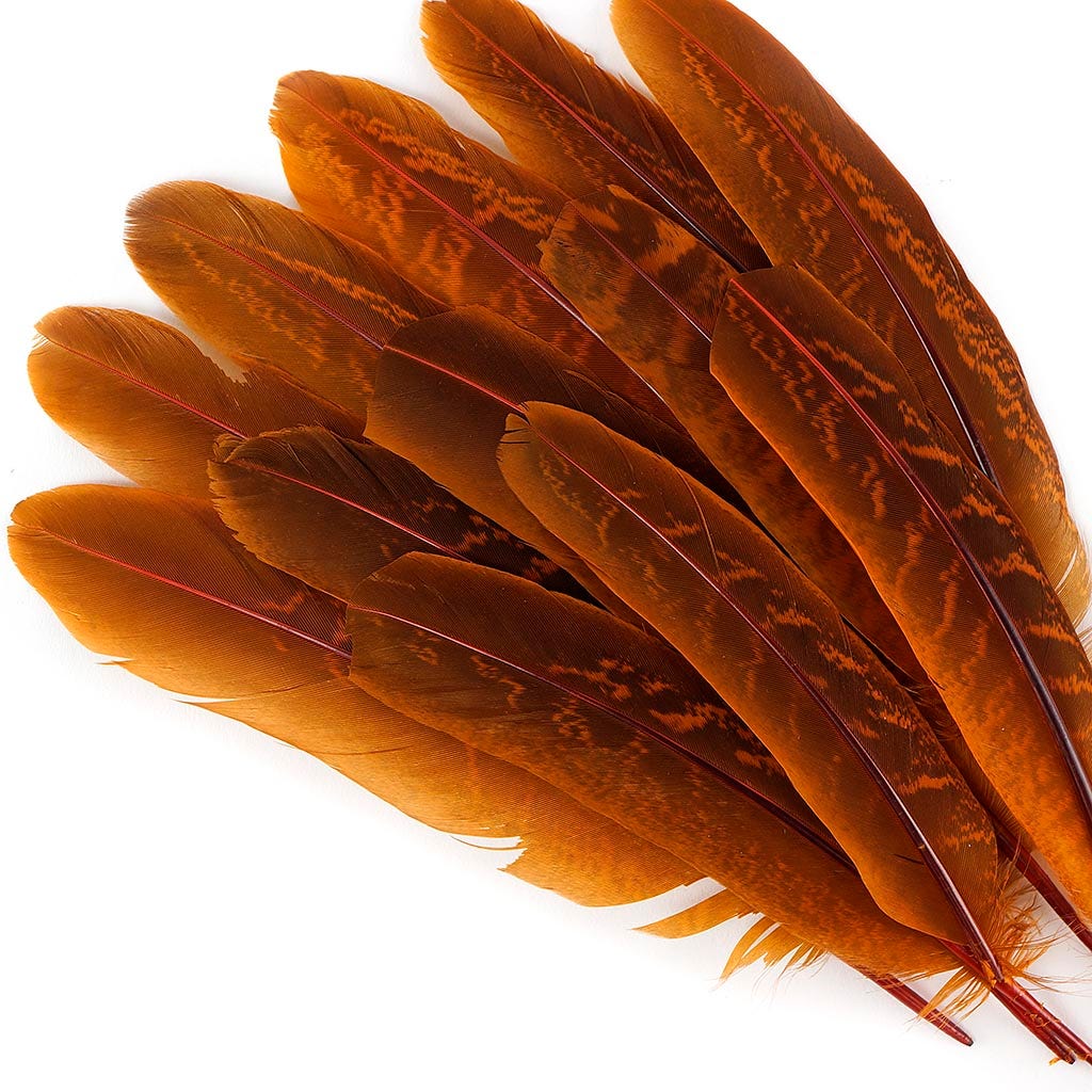 Pheasant Tail Feathers Dyed - Marigold