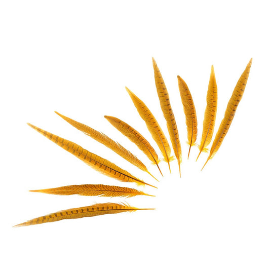 Pheasant Tails Assorted Bleached - Gold
