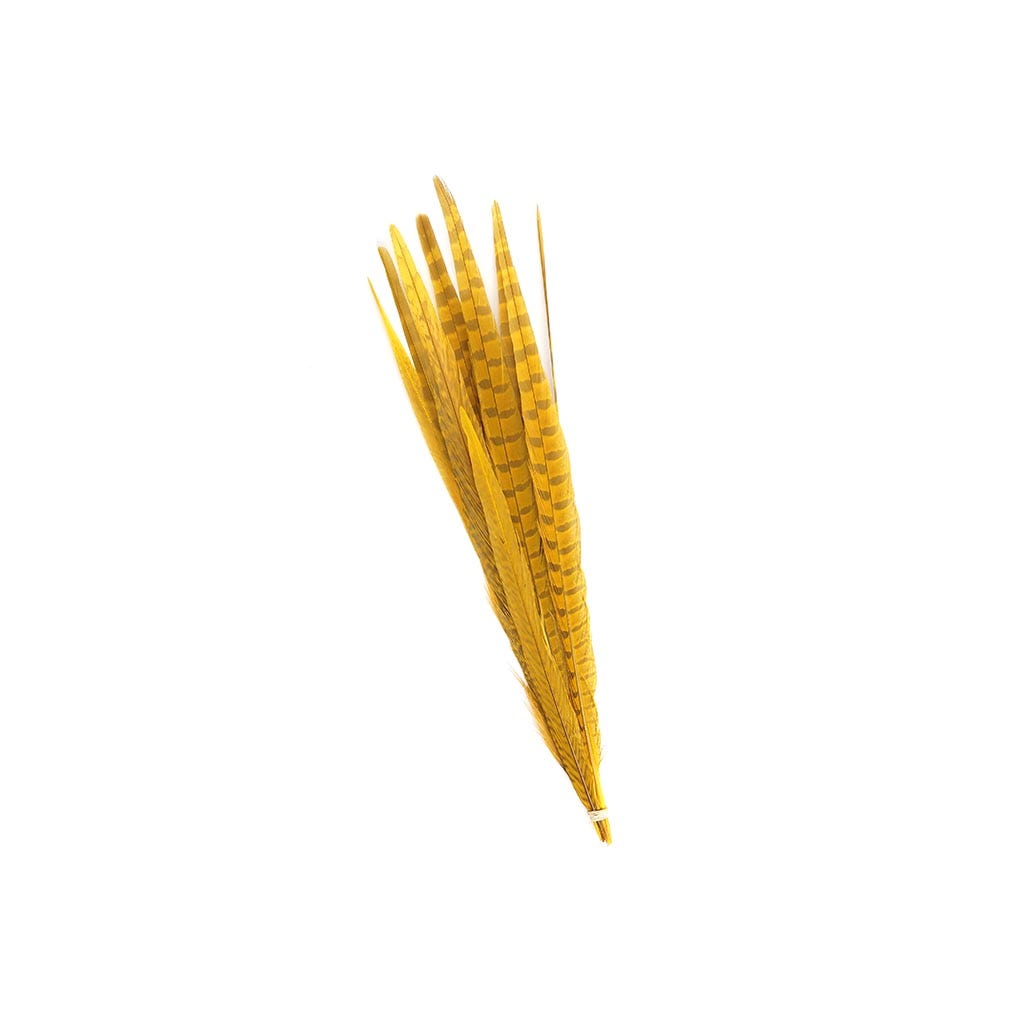 Pheasant Tails Assorted Bleached - Gold