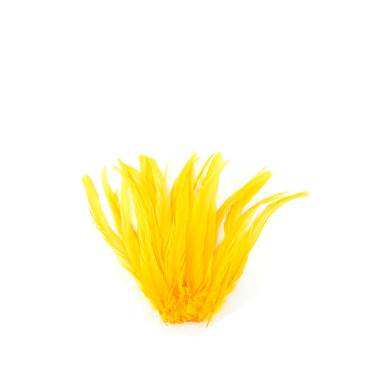 Rooster Coque Tails White-Dyed - Gold