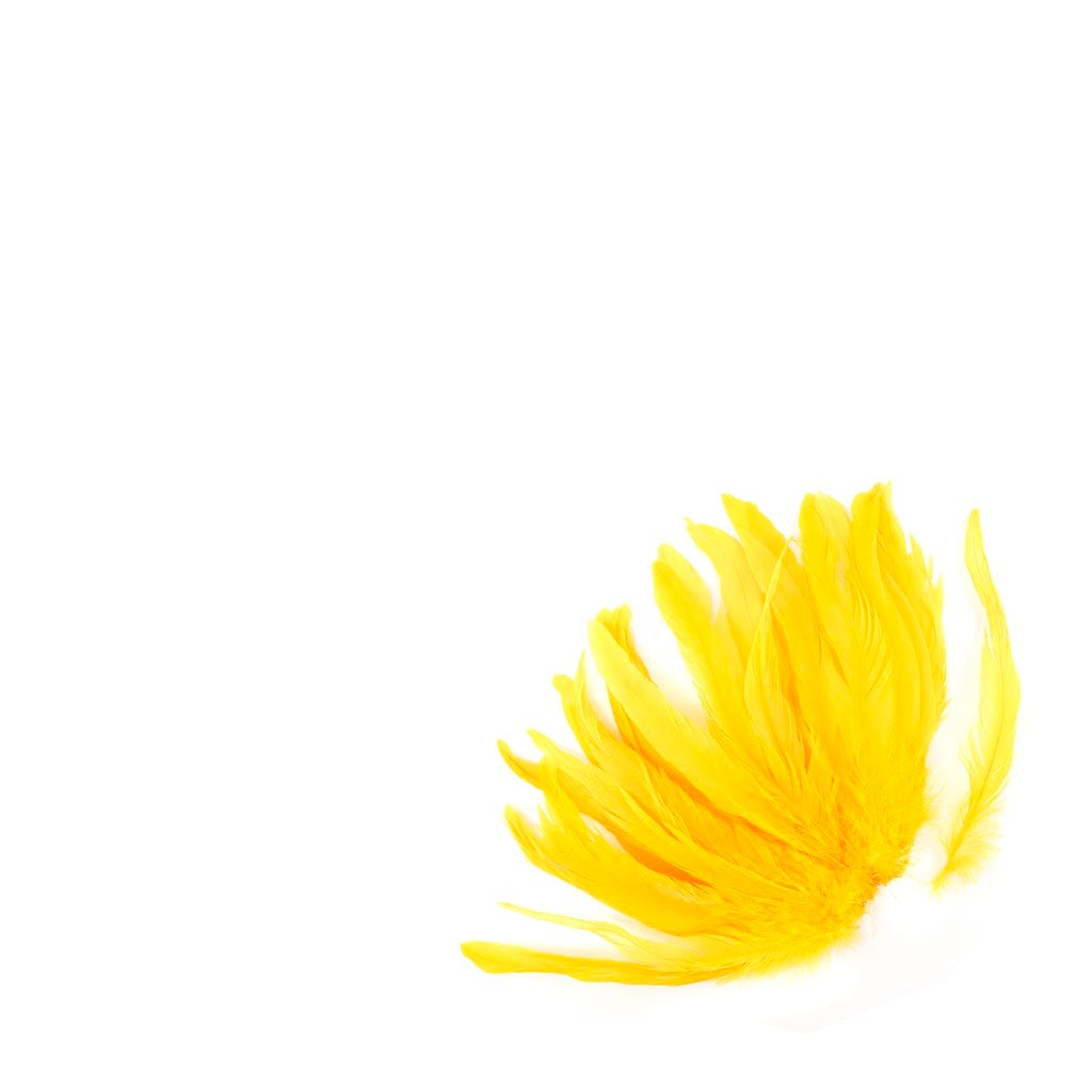 Rooster Coque Tails White-Dyed - Gold