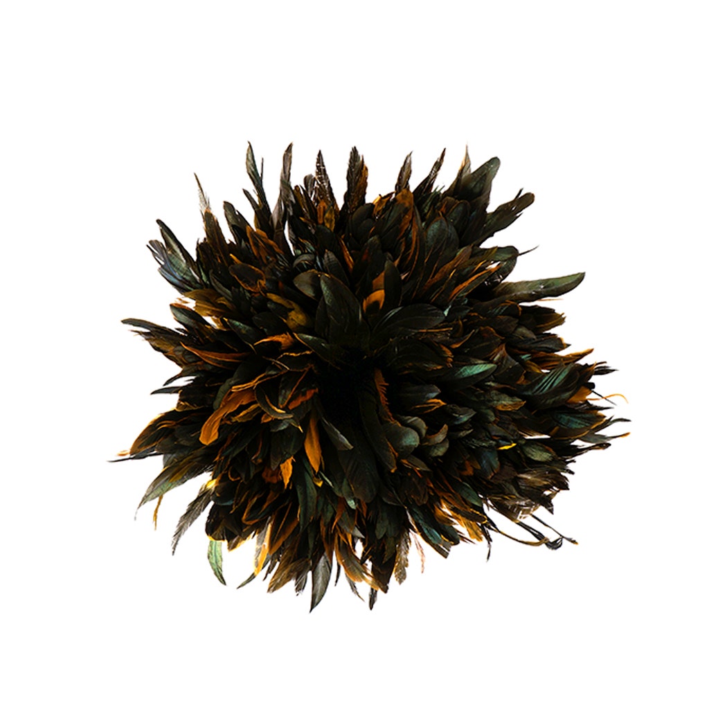 Rooster Coque Tails-Dyed - Gold