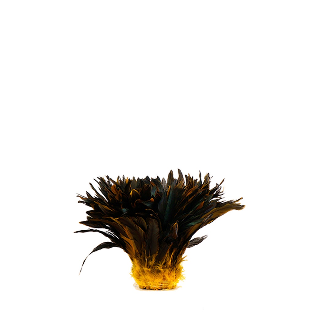 Rooster Coque Tails-Dyed - Gold