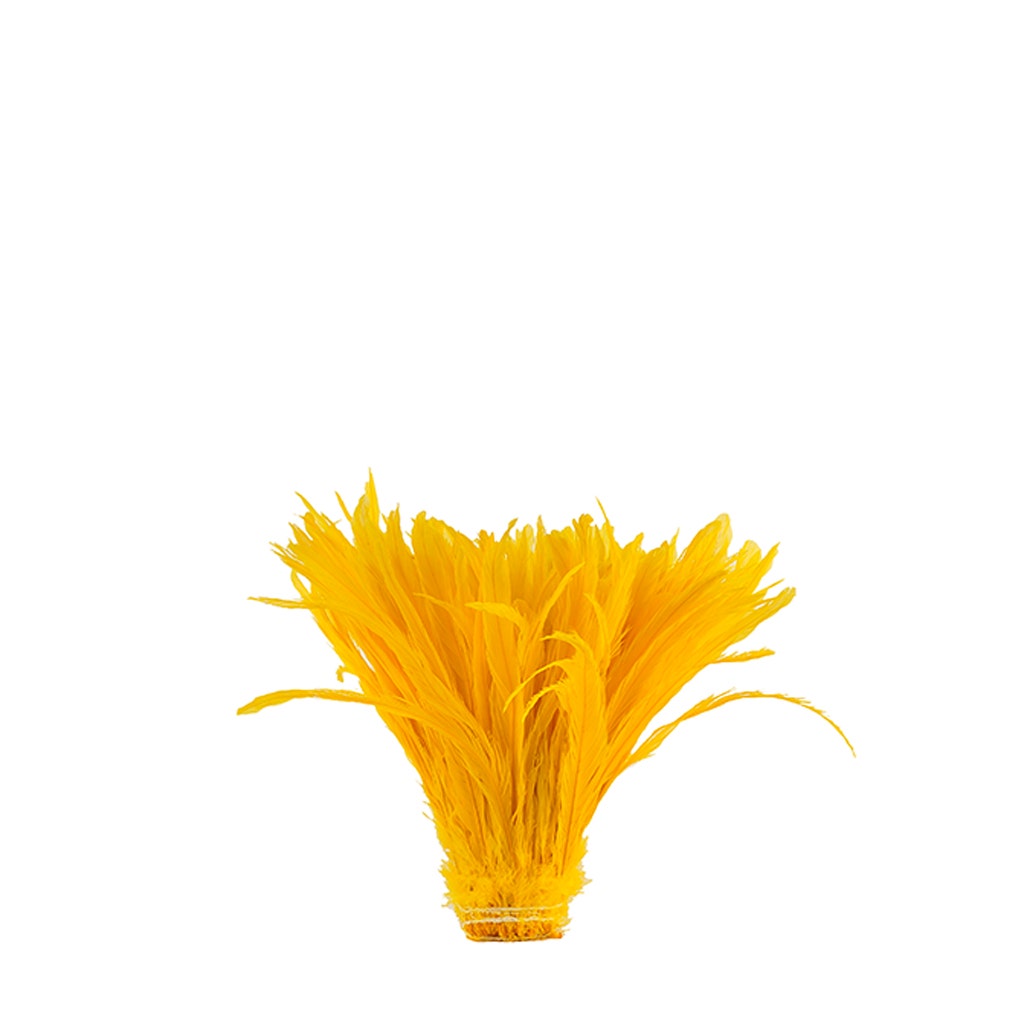 Rooster Coque Tails White-Dyed - Gold