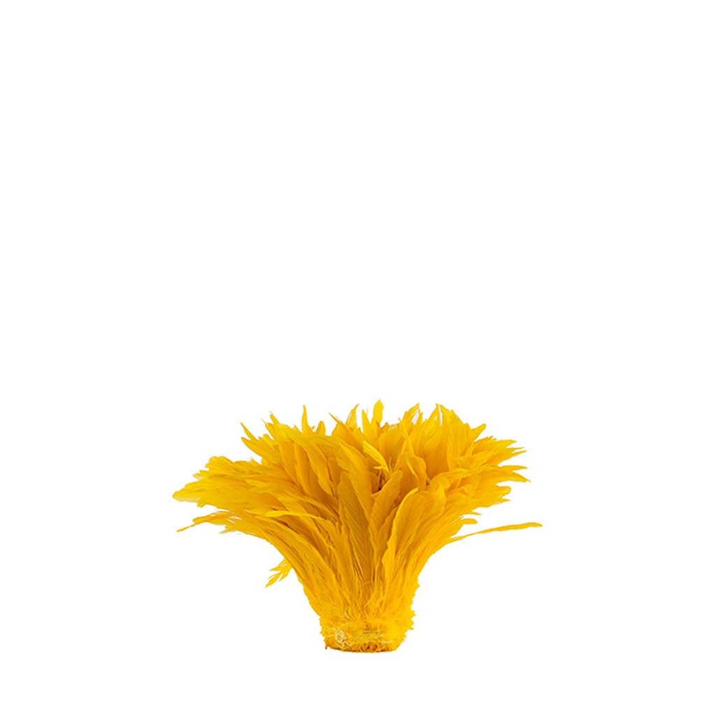 Rooster Coque Tails White-Dyed - Gold