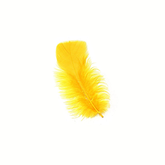 Loose Turkey Plumage Feathers 3-5" - Gold
