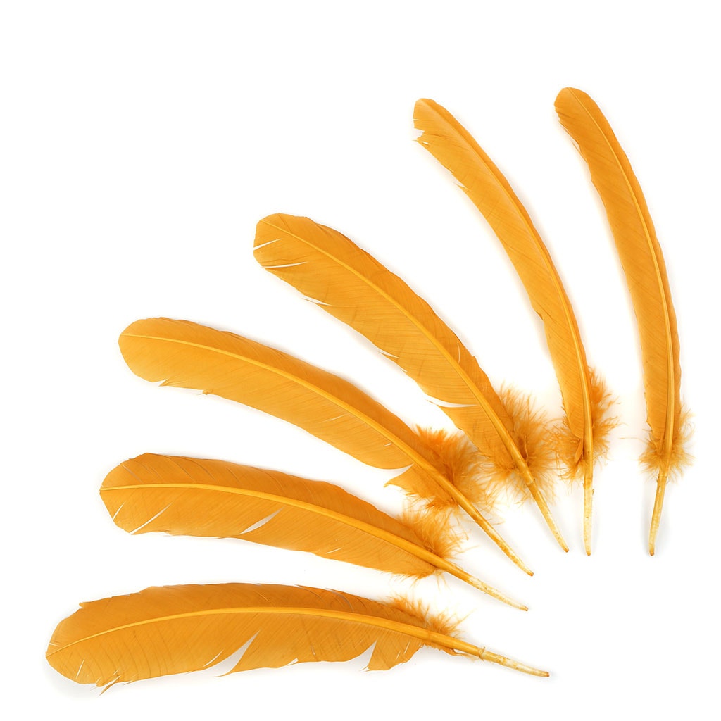 Turkey Quills Selected Antique Gold