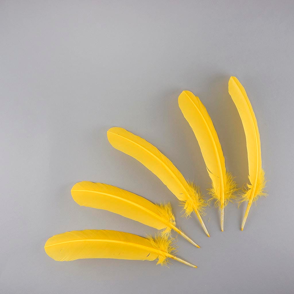 Turkey Quills Selected - Gold