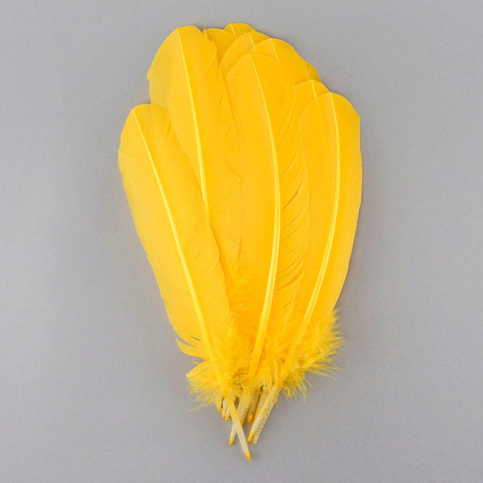Turkey Quills Selected - Gold