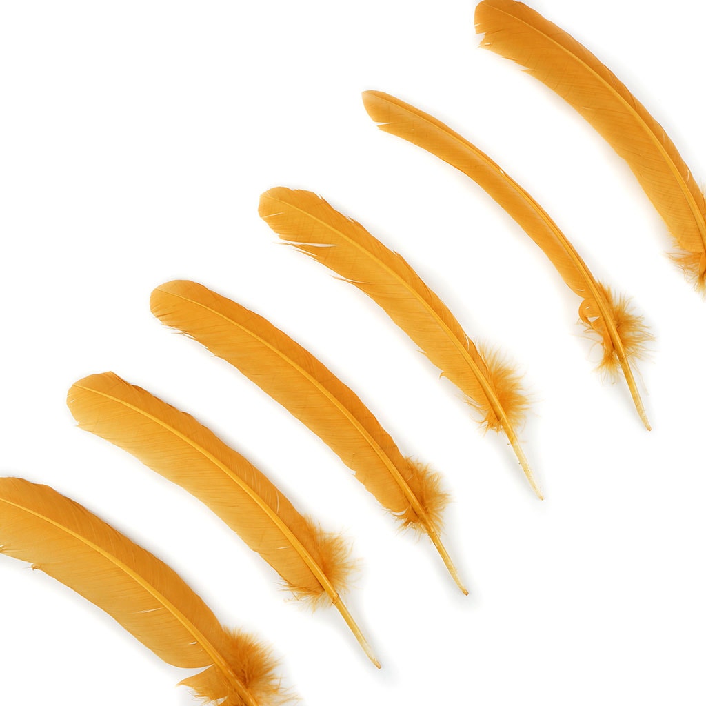 Turkey Quills by Pound - Left Wing - Antique Gold