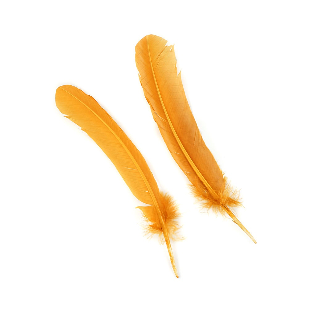 Turkey Quills by Pound - Left Wing - Antique Gold