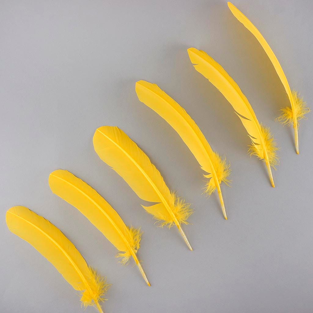 Turkey Quills by Pound - Left Wing - Gold