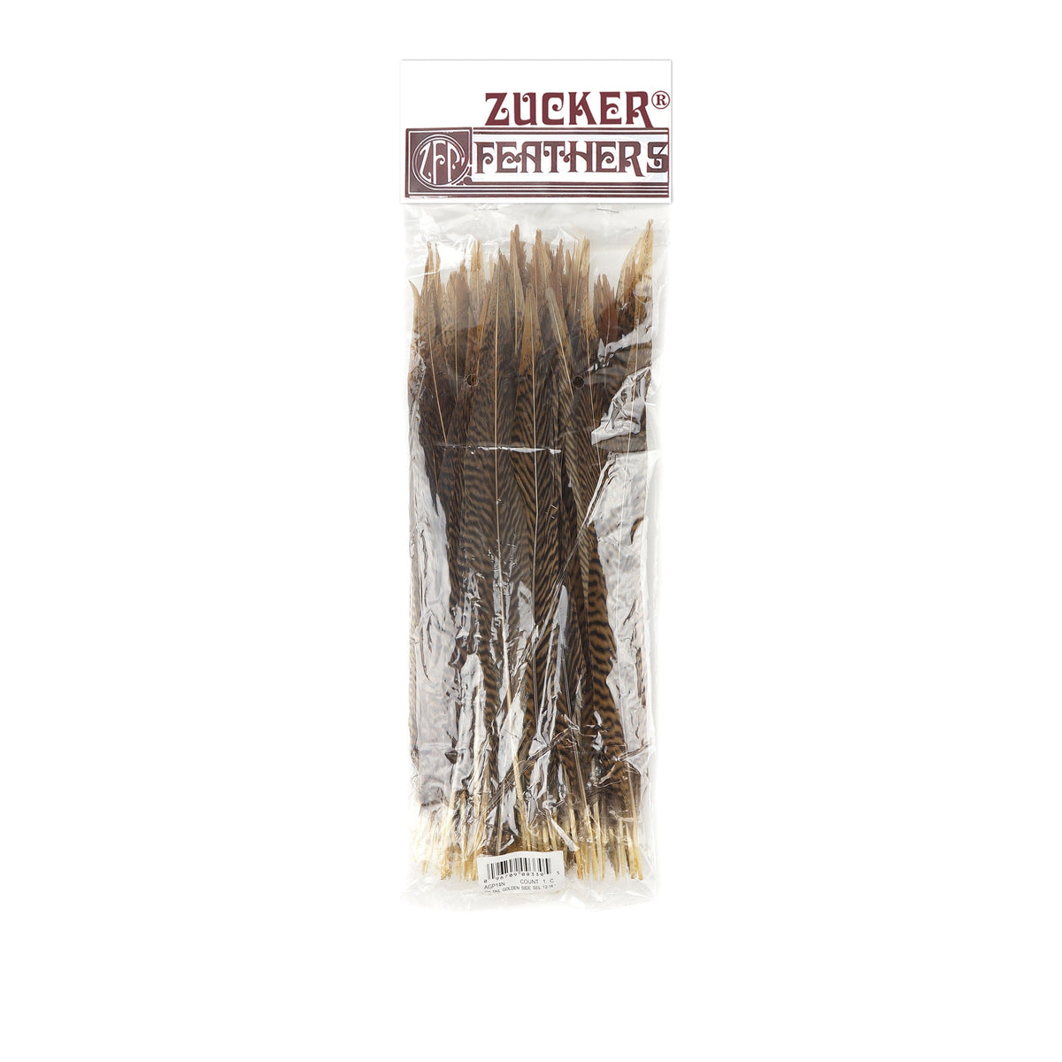 Golden Pheasant Tails Natural - 12 - 14"