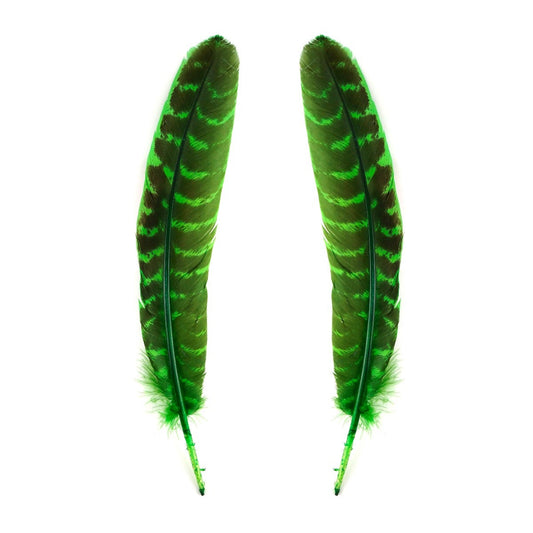 Barred Turkey Quills Wing Feathers 8-12" - KELLY