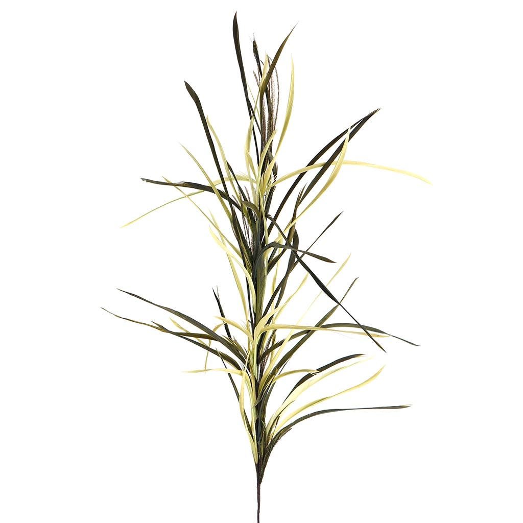 Feather Floral Stem w/Goose Biot - CD/MO/N