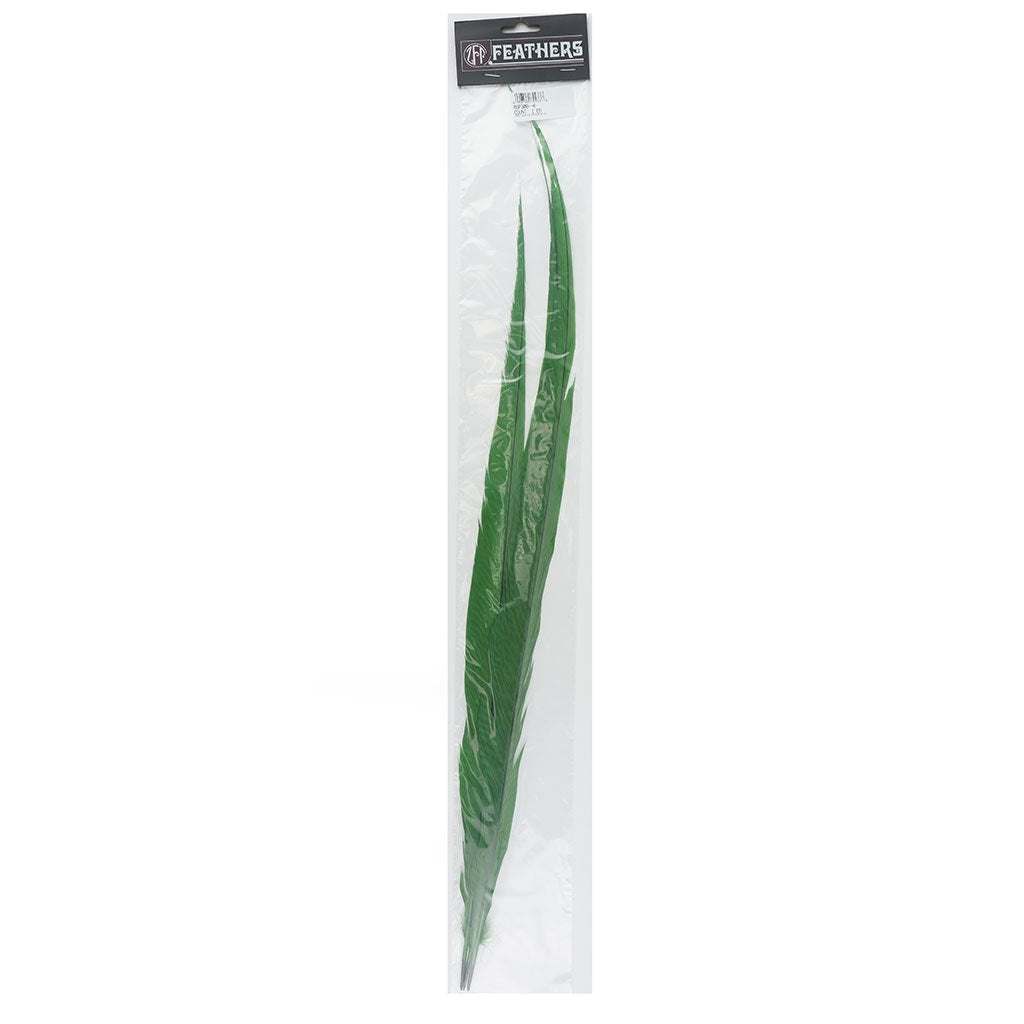 BGP30B Golden Pheasant Tails 25-30" Bleached & Dyed (3 Pieces Per Package) Kelly