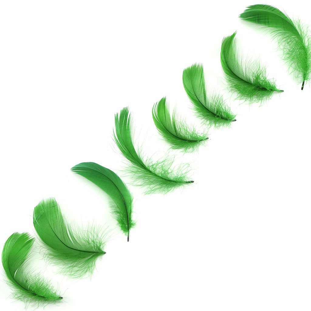 Kelly Green Loose Goose Coquille Feathers 3-5 inch