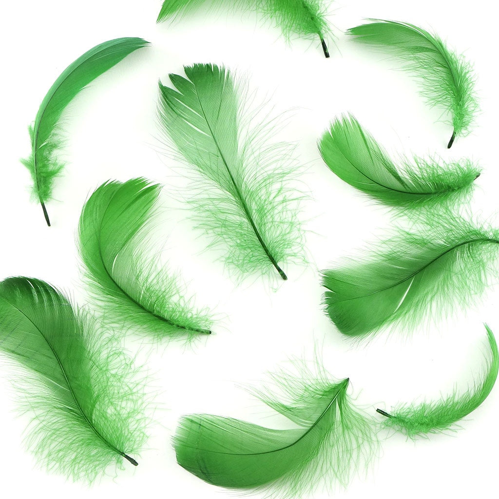 Kelly Green Loose Goose Coquille Feathers 3-5 inch