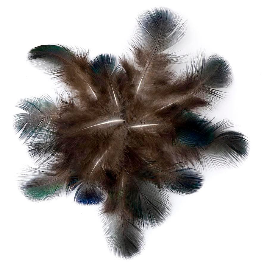 Natural Green Peacock Feather Plumage [{WEDDING CENTERPIECES}] - Natural