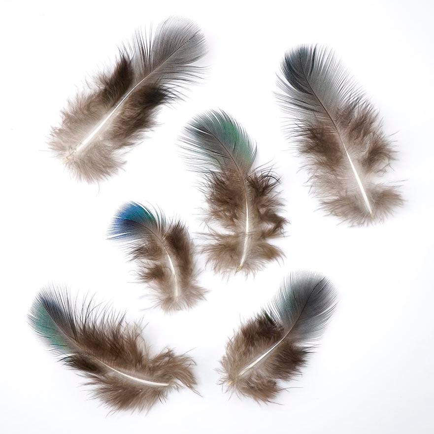 Natural Green Peacock Feather Plumage [{WEDDING CENTERPIECES}] - Natural