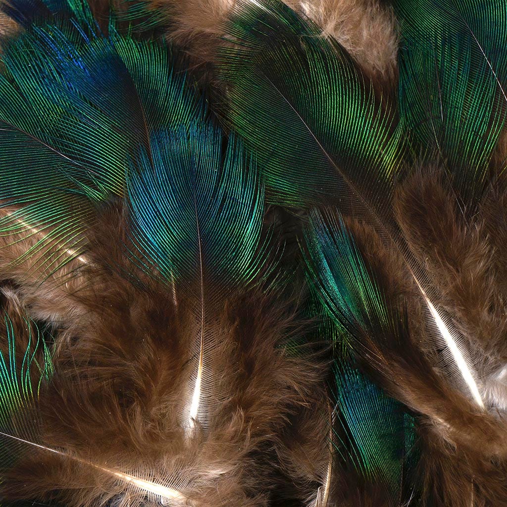 Natural Green Peacock Feather Plumage [{WEDDING CENTERPIECES}] - Natural