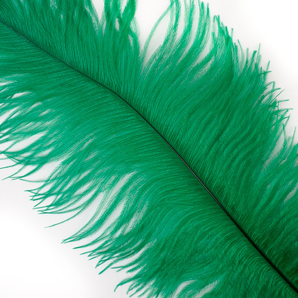 Ostrich Feathers-Narrow Drabs - Emerald