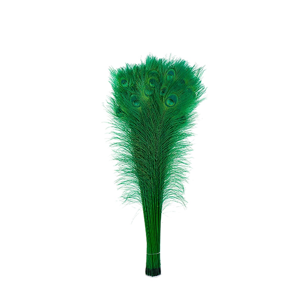 Peacock Tail Eyes Bleached Dyed - Kelly