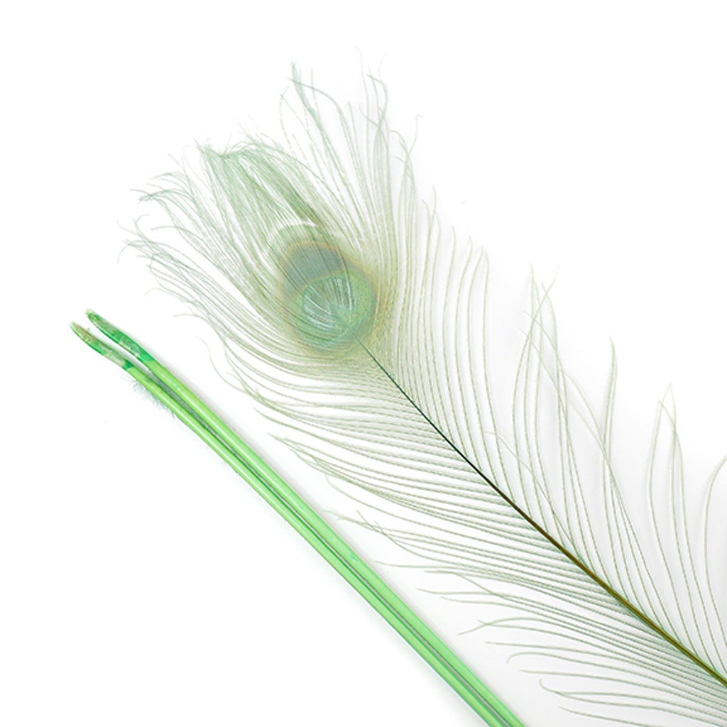 Peacock Eyes Bleached/Dyed - 25-40 Inch - 10 PCS - Celedon