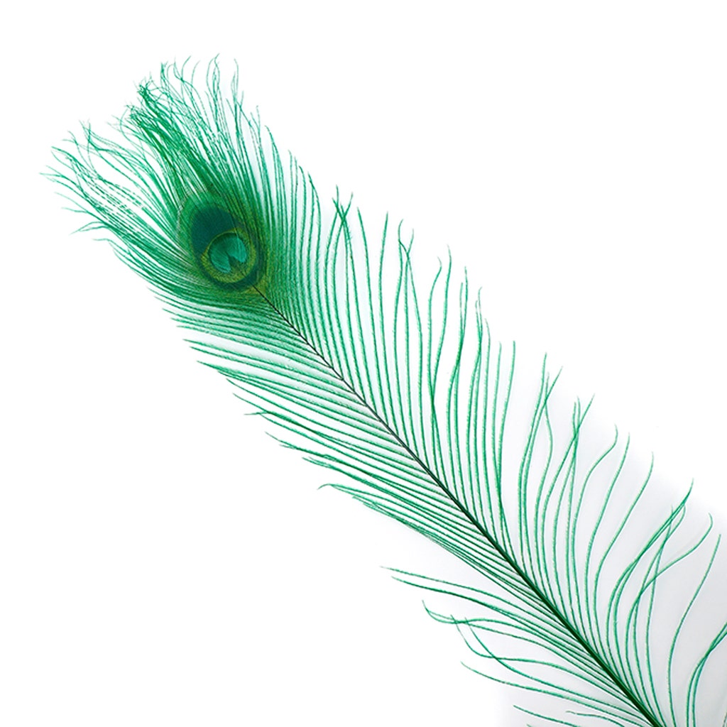 Peacock Eyes Bleached/Dyed - Kelly 30-40" - 10 PC