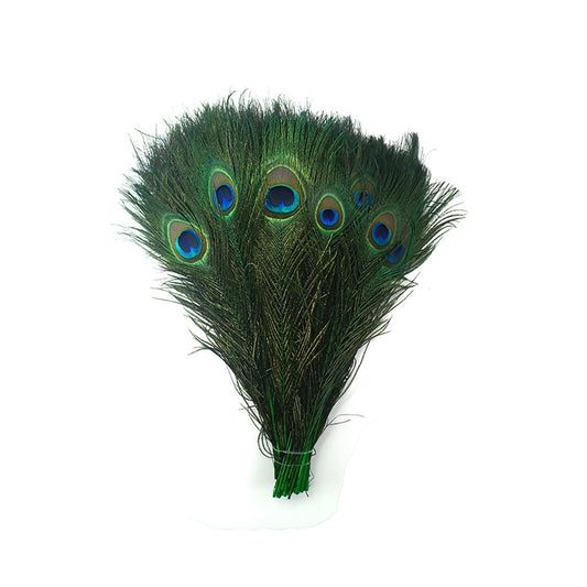 Bulk Peacock Eye Feathers (Full Eye) Stem Dyed - 100 pc - 8-15" - Kelly
