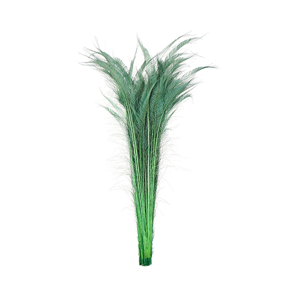 Peacock Swords Bleached Dyed - Celedon