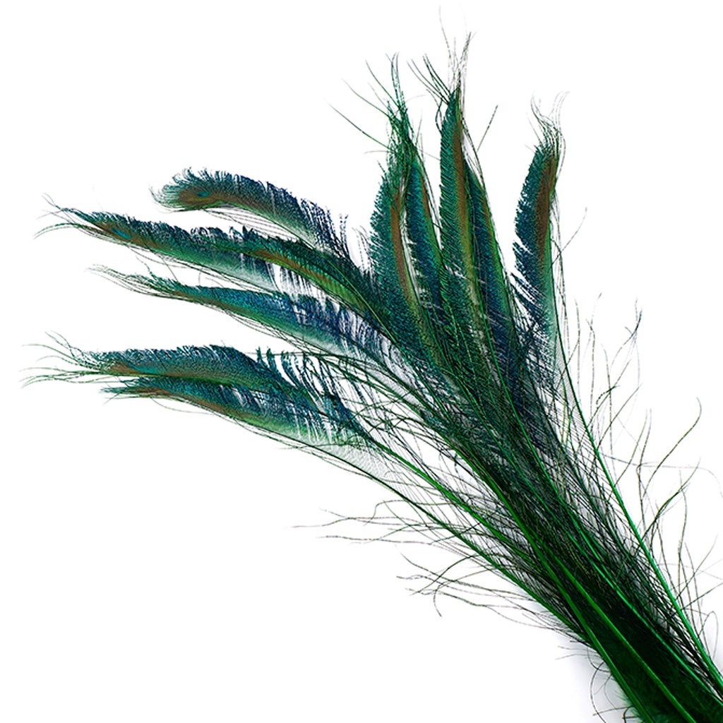 Peacock Swords Stem Dyed - Kelly