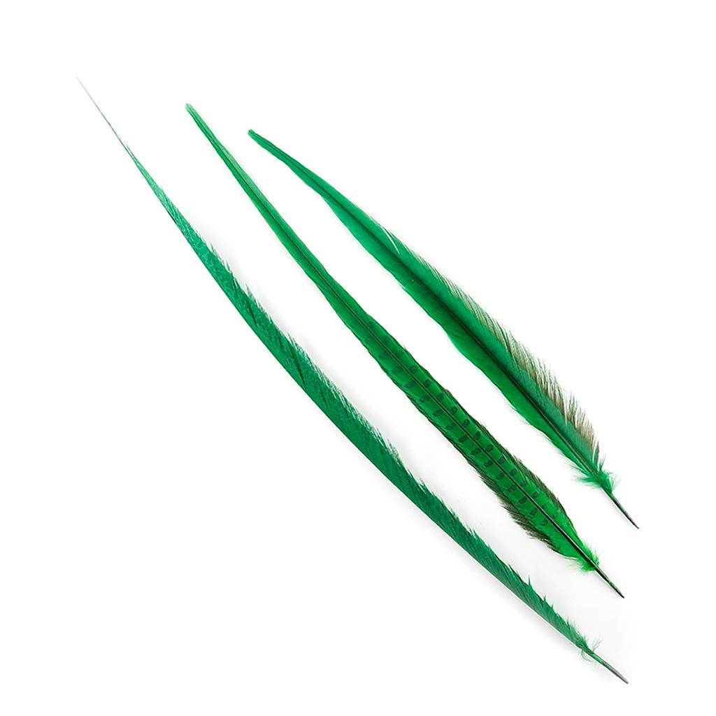 Assorted Pheasant Tails Dyed - Kelly