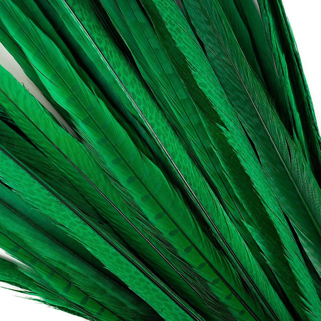 Assorted Pheasant Tails Dyed - Kelly