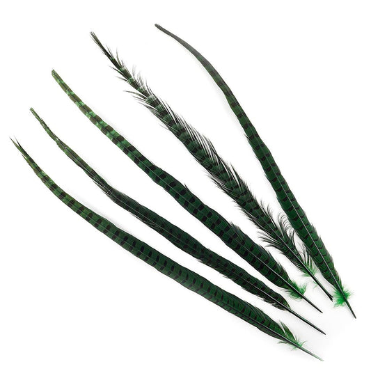 Ringneck Pheasant Tails 20-24" Dyed -5pcs - Kelly