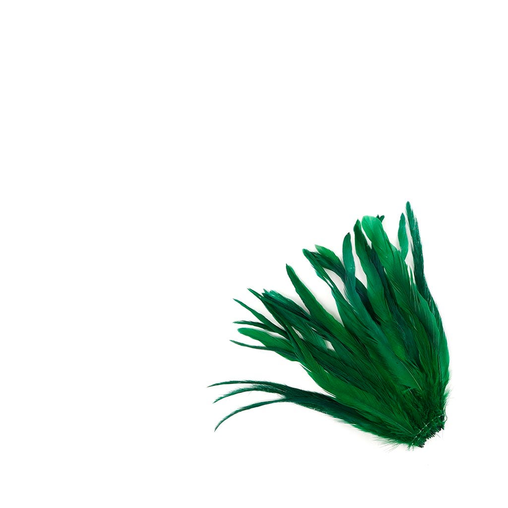 Rooster Coque Tails White-Dyed - Kelly