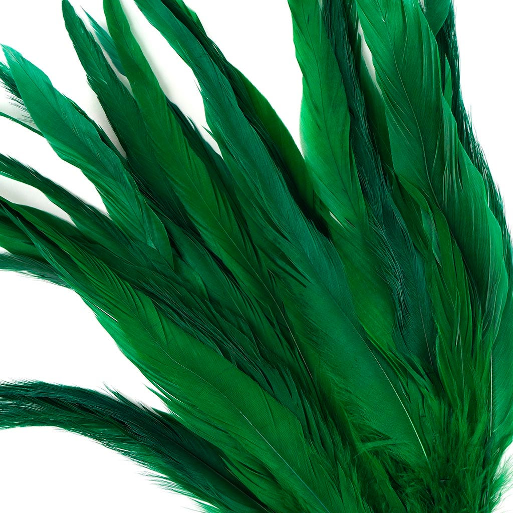 Rooster Coque Tails White-Dyed - Kelly