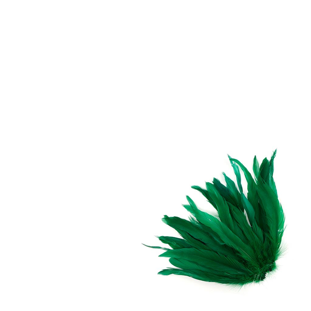 Rooster Coque Tails White-Dyed - Kelly