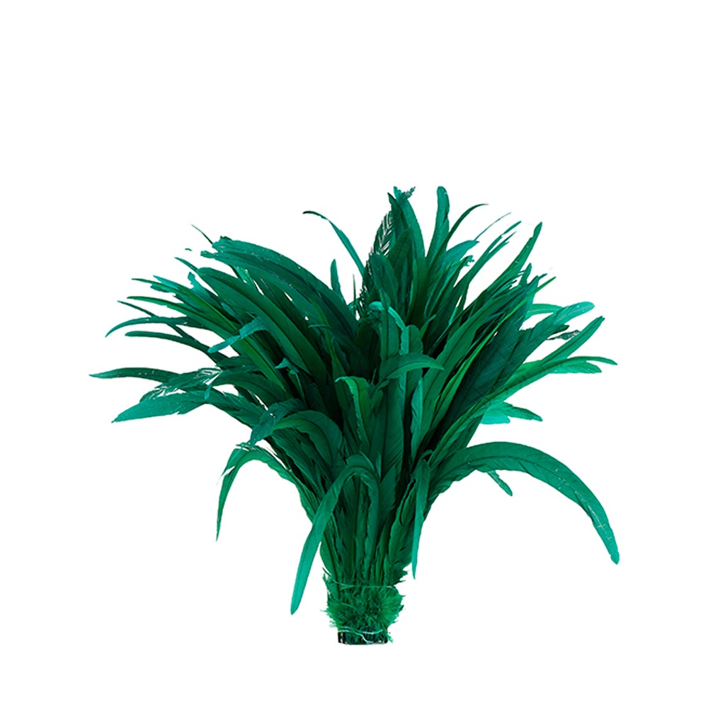 Rooster Coque Tails-Bleach-Dyed - Kelly
