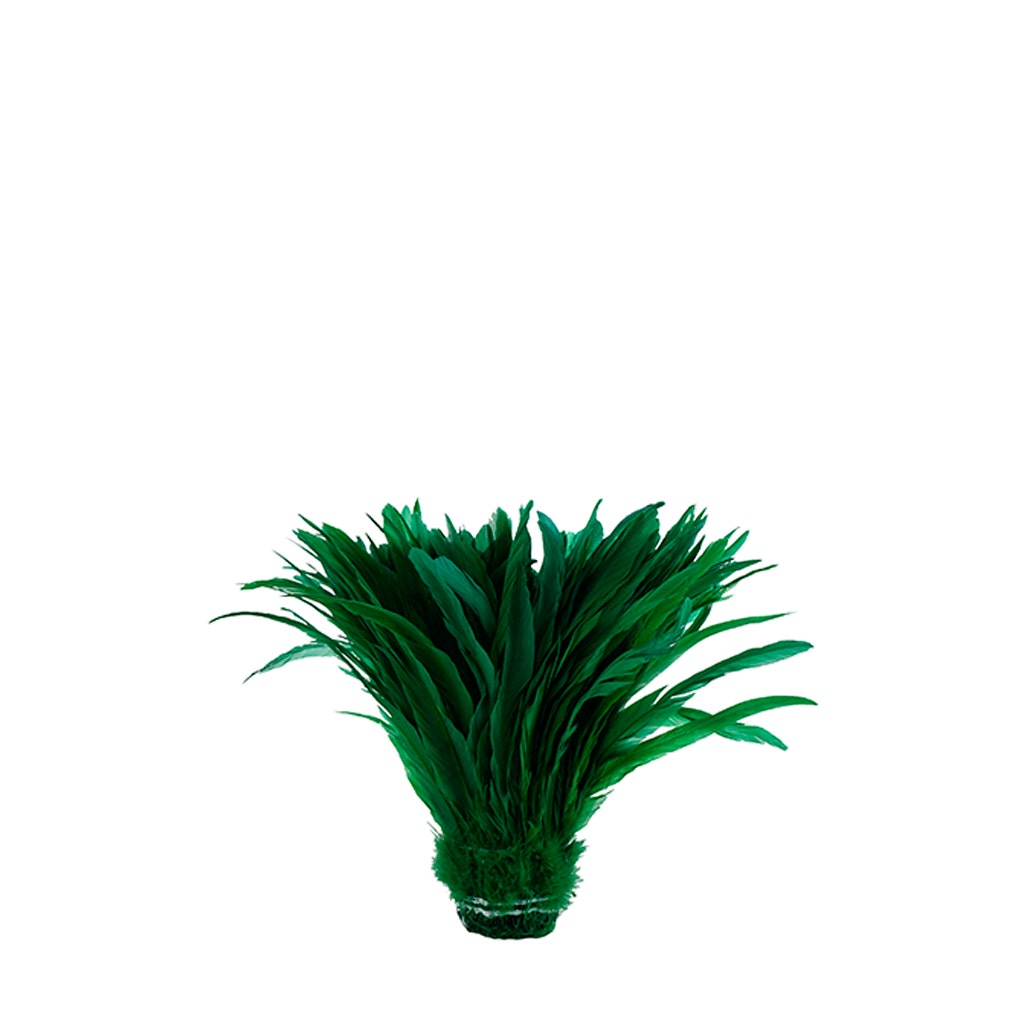 Rooster Coque Tails White-Dyed - Kelly