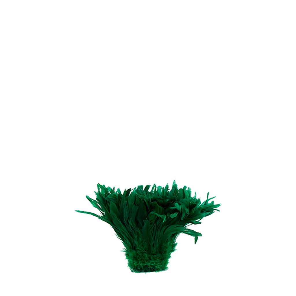 Rooster Coque Tails White-Dyed - Kelly
