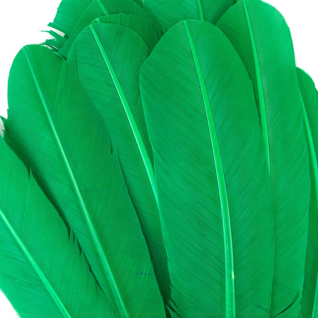 Turkey Quills Dyed - Kelly