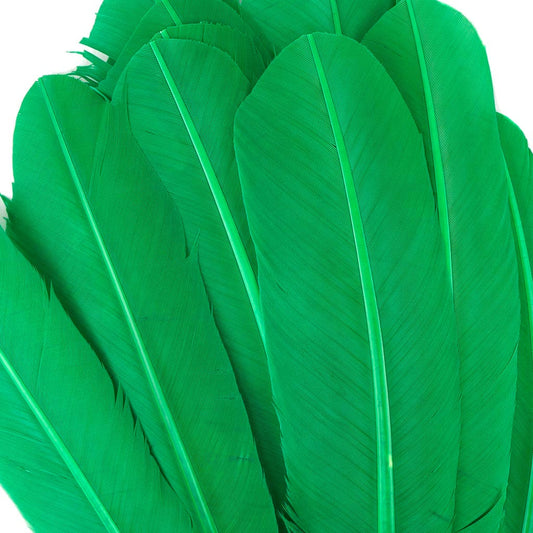Turkey Quills Dyed - Kelly