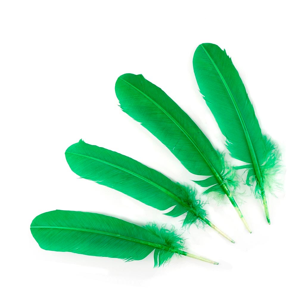 Turkey Quills Dyed - Kelly
