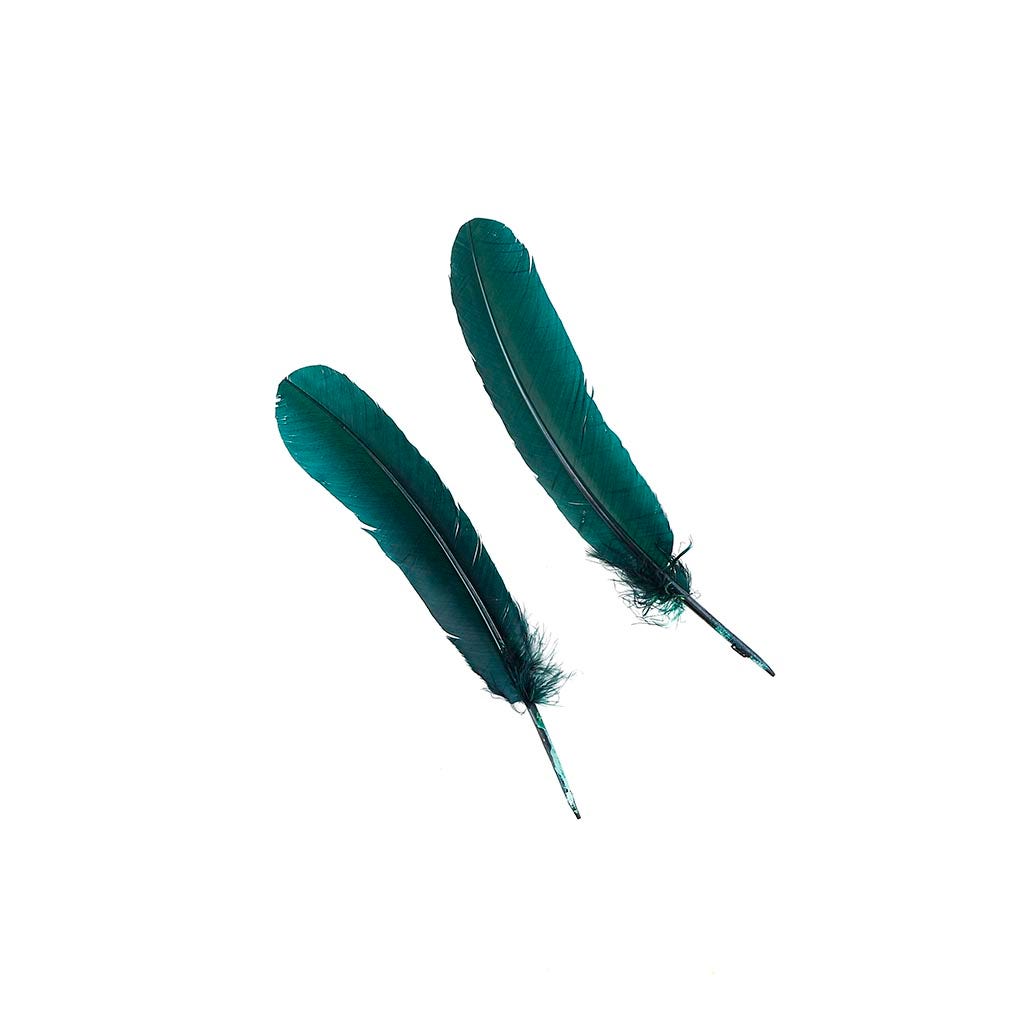 Turkey Quills Selected - Hunter Green